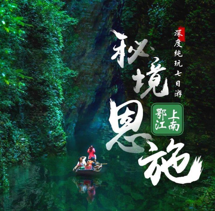 春雨直播app