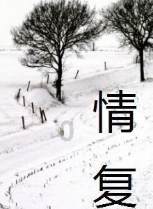 理想桁架的基本假设是什么？