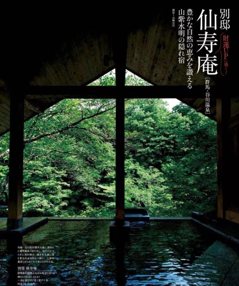 植物大战僵尸9