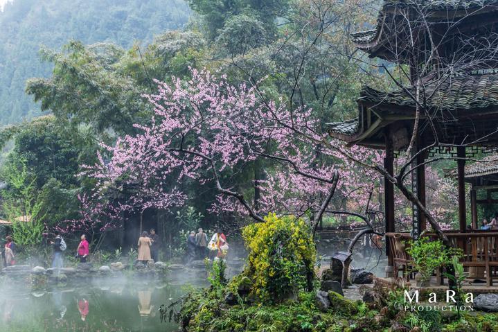 公主换装养成日记