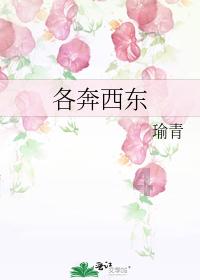 福莱纳找车轮