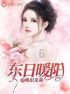 芜湖首个用户侧10KV光储一体项目运行