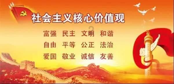 新速腾1.6 l手动舒适版怎么样