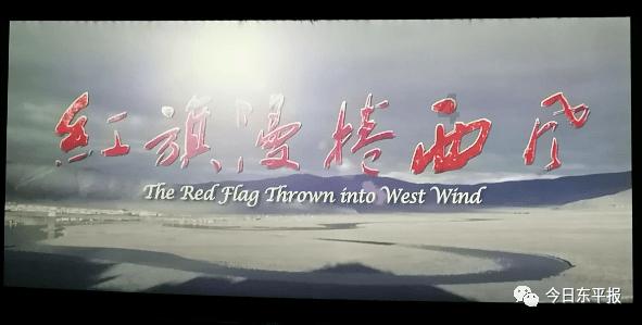 机甲英豪D