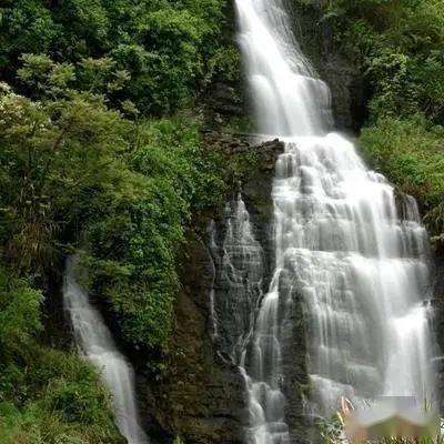 脑洞小老弟无实名认证