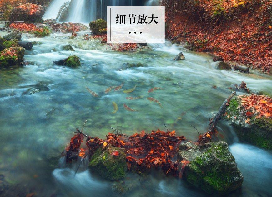 方程式飙车