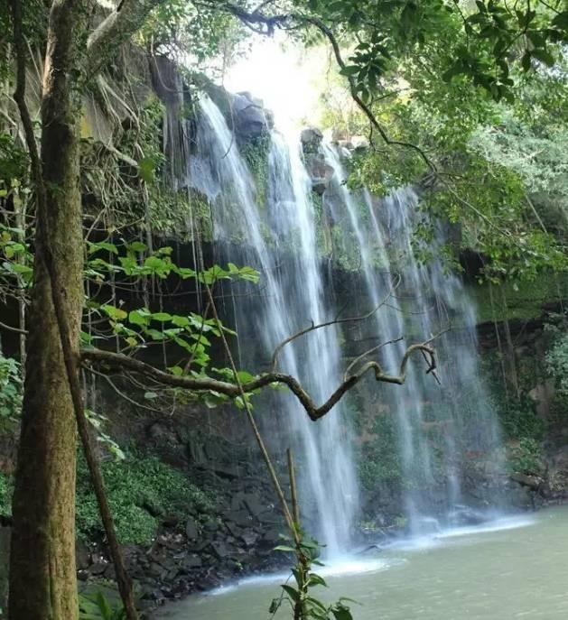 张雨绮兔女郎登场！性感与纯真的完美结合