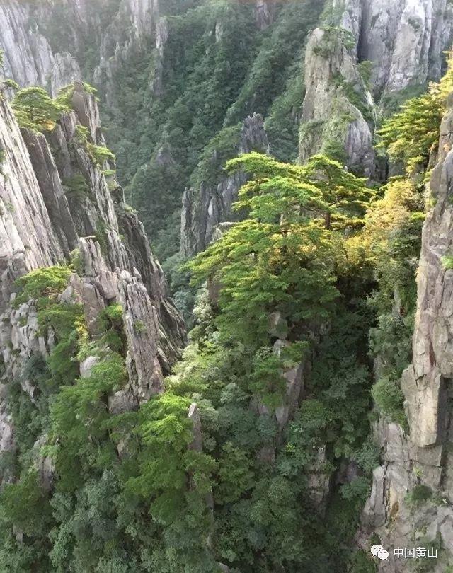 雨血前传：蜃楼
