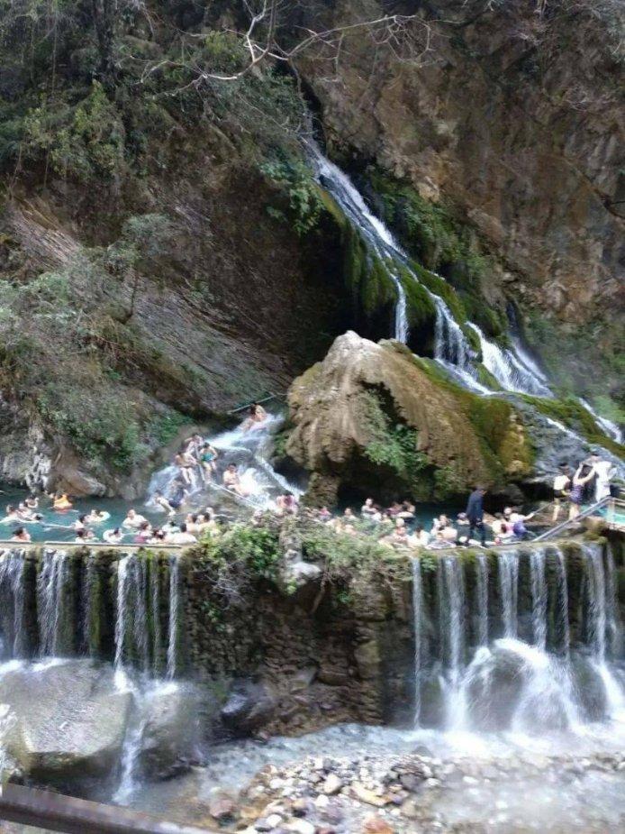 小长颈鹿逃离