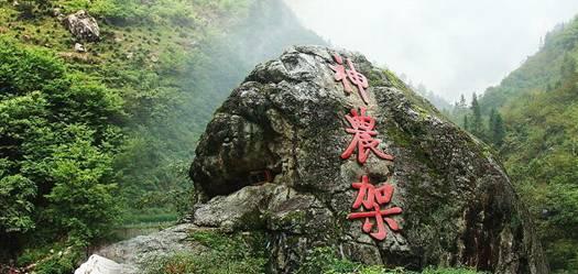 照顾可爱小公主