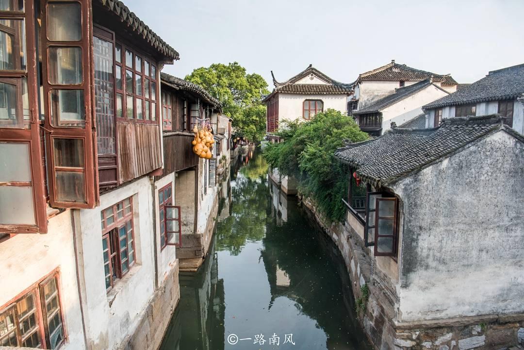 日照:花馍“蒸”出幸福年